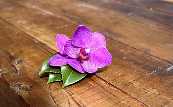 Flowers, Leaves, Flower, Wood, Tree, Planks, Board, Orchid HD wallpaper