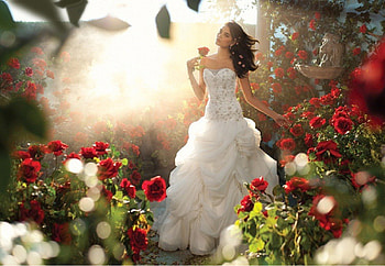 Bella, model, graphy, roses, wedding dress, garden, disney, beautiful, beauty, rose, pretty, love, romantic, bride HD wallpaper