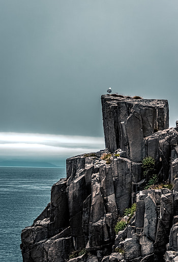 Nature, Rock, Vertex, Top, Bird HD phone wallpaper