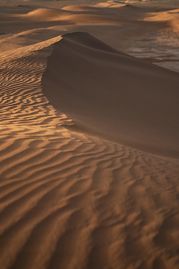 Dunes of desert, sand HD phone wallpaper