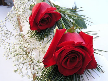 With All My Love, day, roses, red, birtay, happy, wonderful, special HD wallpaper