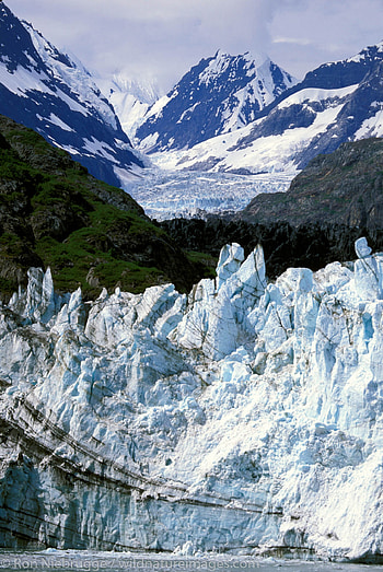 Glacier Bay National Park, Ron Niebrugge , Stunning , Unforgettable moments HD phone wallpaper