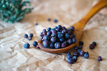 Fruits, Food, Bilberries, Berries, Paper, Spoon HD wallpaper
