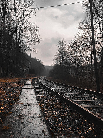 Rails, Nature, Forest, Railway, Mainly Cloudy, Overcast HD phone wallpaper