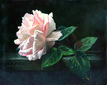 Rose for Gisela, rose, pink, white, green leaves, black background, flower HD wallpaper