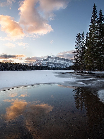 Nature, Mountains, Ice, Forest, Snow Covered, Snowbound HD phone wallpaper