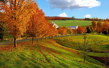 Way to the farm, orange, country, beauty, landscapes, brown, pretty, rural, fine, green, fields, autumn, nature, natural, graphy, living, agricultural, American, fall, farm HD wallpaper