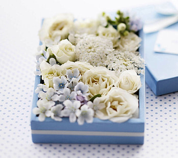 Flowers in box, blue, white, box, beautiful, flowers, gift HD wallpaper