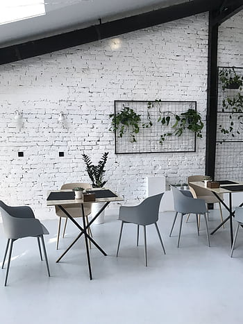 Stylish modern café interior with white brick walls and greenery. HD phone wallpaper