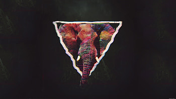 Glitch Elephant Art, elephant, artist, artwork, digital-art HD wallpaper
