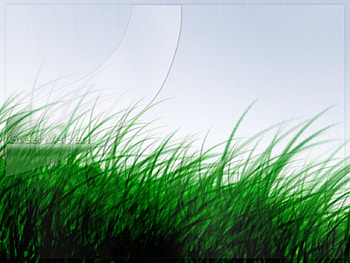 abstract style, abstract, 3d, green HD wallpaper