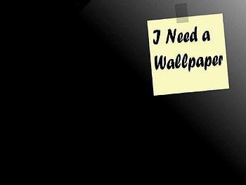 Do you need a ?, , funny, i, need HD wallpaper