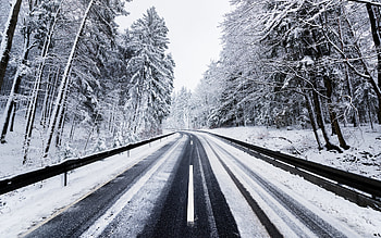 Winter, white marks, road, forest, trees, snowfrost HD wallpaper