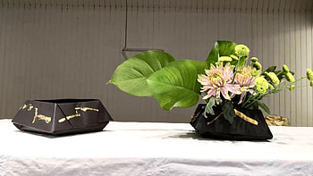 Chrysanthemum, Ikebana HD wallpaper