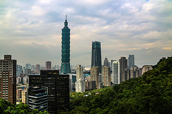 Cities, Trees, Architecture, City, Building, Skyscrapers HD wallpaper