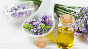 Lavender Oil, sponge, lavender, spa, calming, relax, fragrant, oil, spoon HD wallpaper