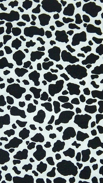 Cow Print, Print, Background HD phone wallpaper