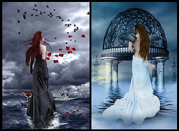 Back to Back, blue, wings, white, birds, angel, beauty, artwork, fantasy, petals, red, female HD wallpaper