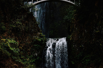 Nature, Trees, Dark, Waterfall HD wallpaper