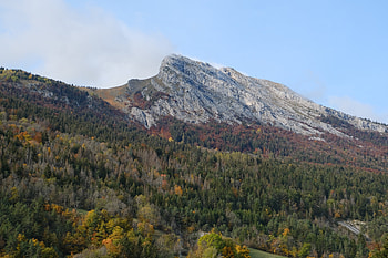 Nature, Trees, Mountain, Vertex, Top, Forest, Slope HD wallpaper