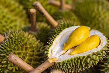 Pungent scent mystery, Flavour exploration, Unexpected taste, Palate sensation HD wallpaper