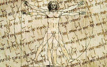 Vitruvian Man, Leonardo da Vinci HD wallpaper