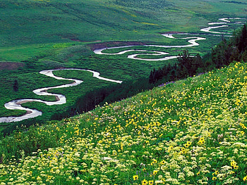 Nature, Flowers, Rivers, Mountains, Glade, Polyana, Bends HD wallpaper