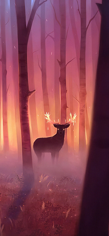 Magical forest, XS HD phone wallpaper