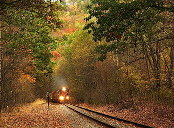 Train through Autumn Forest, through, Train, Autumn, Forest HD wallpaper