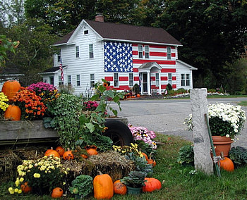 American Flag House, summer, house, trees, nature, grass HD wallpaper