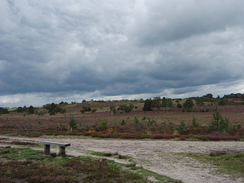 Chobham Common 1, Desolate, Chobham, Surry, Heath, Common HD wallpaper