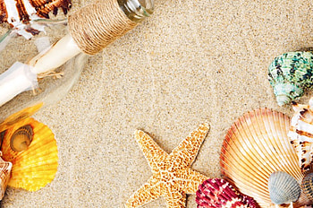 Starfish& Shells, starfish, sand, bottle, beach, seashells HD wallpaper