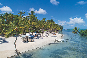 Nature, Palms, Usa, Ocean, Relaxation, Rest, United States, Tropics, Paradise, Florida, Islamorada HD wallpaper
