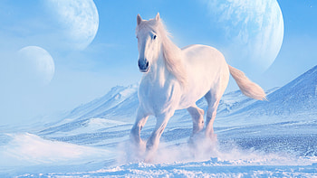 Winter's horse, white, horse, moon, running, snow, iarna, luna, winter, cal, fantasy HD wallpaper