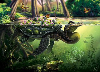 Butterflies, Water, Art, Turtle HD wallpaper