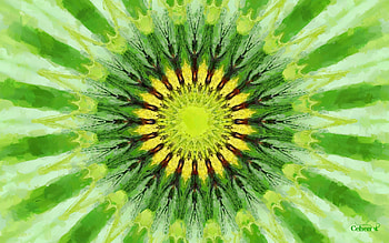 Kiwi flower, by cehenot, art, kiwi, painting, abstract, pictura, flower, green, yellow, texture HD wallpaper