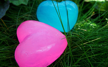 Grass, Love, Couple, Pair, Heart, Figurine HD wallpaper