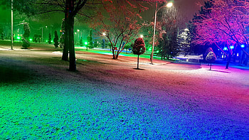 Winter night in park, graphy, snow, , colors, nature, park, winter, night, magic, wonderland HD wallpaper