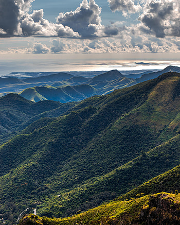 Nature, Trees, Relief, Hills, Puerto Rico HD phone wallpaper