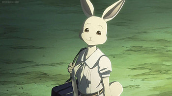 Haru, BEASTARS HD wallpaper