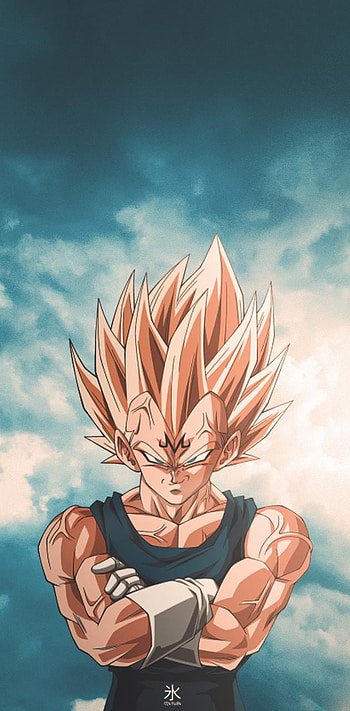 Majin Vegeta, Majin Vegeta HD phone wallpaper
