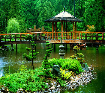 Japanese garden, Green, Yard, Botanical, Bridge, Zen HD wallpaper