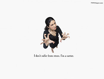 Carrier, humor, saying HD wallpaper