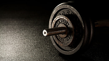 dumbbells, fitness, gym HD wallpaper