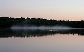 Nature, Trees, Shore, Bank, Fog, Outlines, Water Surface, Evening HD wallpaper