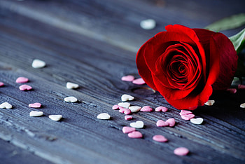Good destination, hearts, red rose, love HD wallpaper