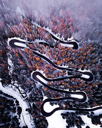 Turns, road, winter, forest, aerial view HD phone wallpaper