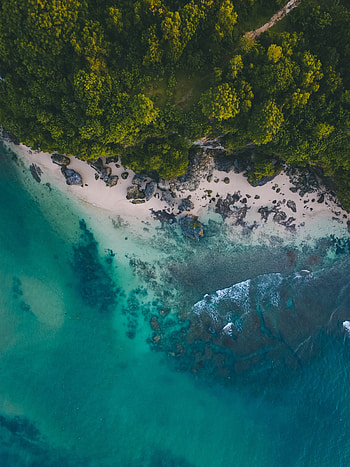 Ocean, coast, sea, aerial view HD phone wallpaper