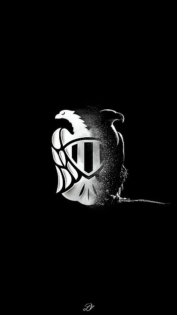 PAOK Eagle, paokfc, paokg4, blackandwhite, greece, sports, logo, football, partizan HD phone wallpaper