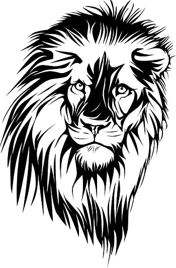 Lion blapen 1, leo, black, write HD phone wallpaper